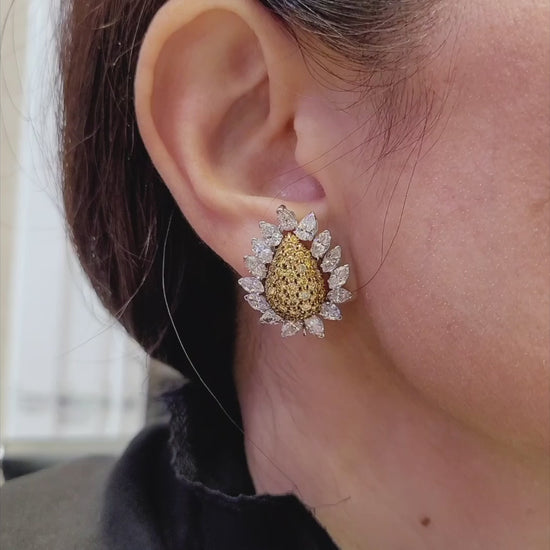 Van Cleef & Arpels Yellow and White Diamond Flower Earrings